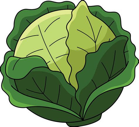 cabba wallpaper|free clip art cabbage.